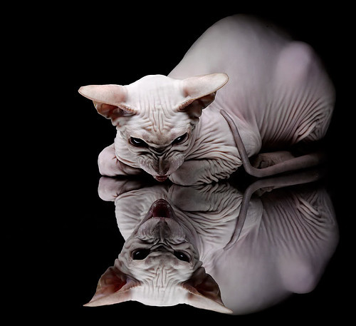 雷霆破晓，马克西关键三分击穿太阳防线