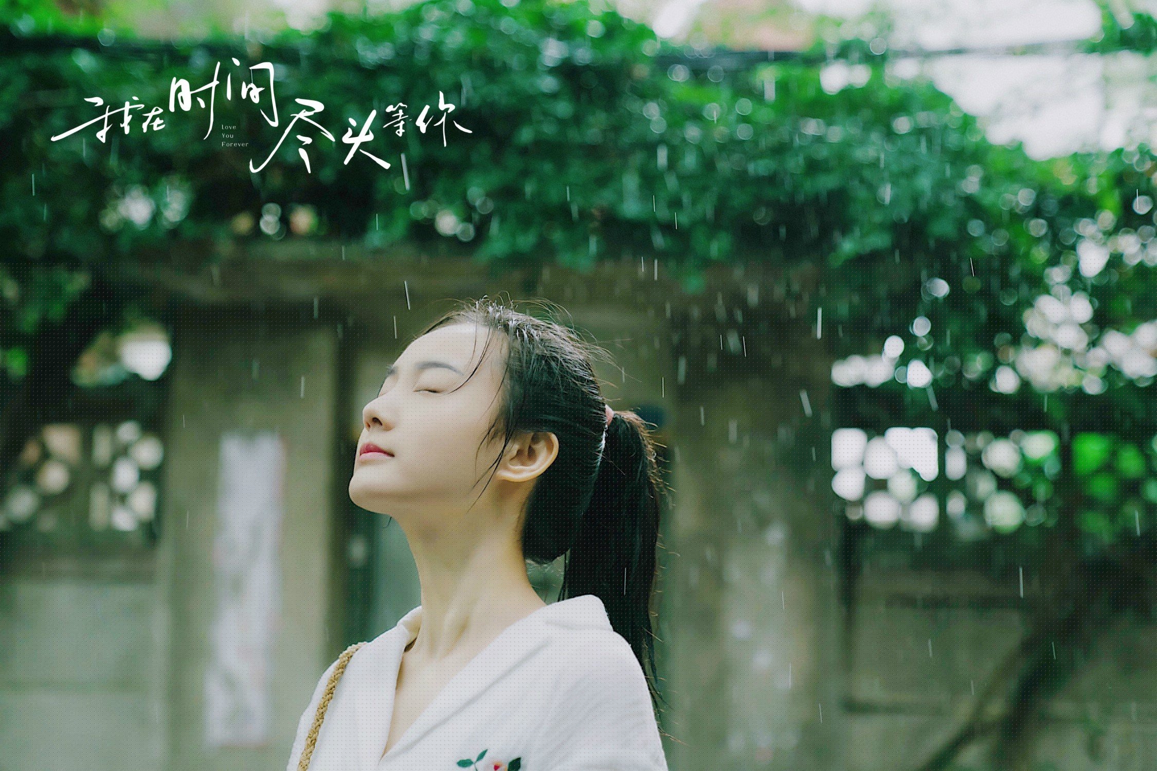 玫瑰与烟火的狂想曲，2026世界杯，当越南闪电撕裂丹麦长城，梅西在神坛上加冕