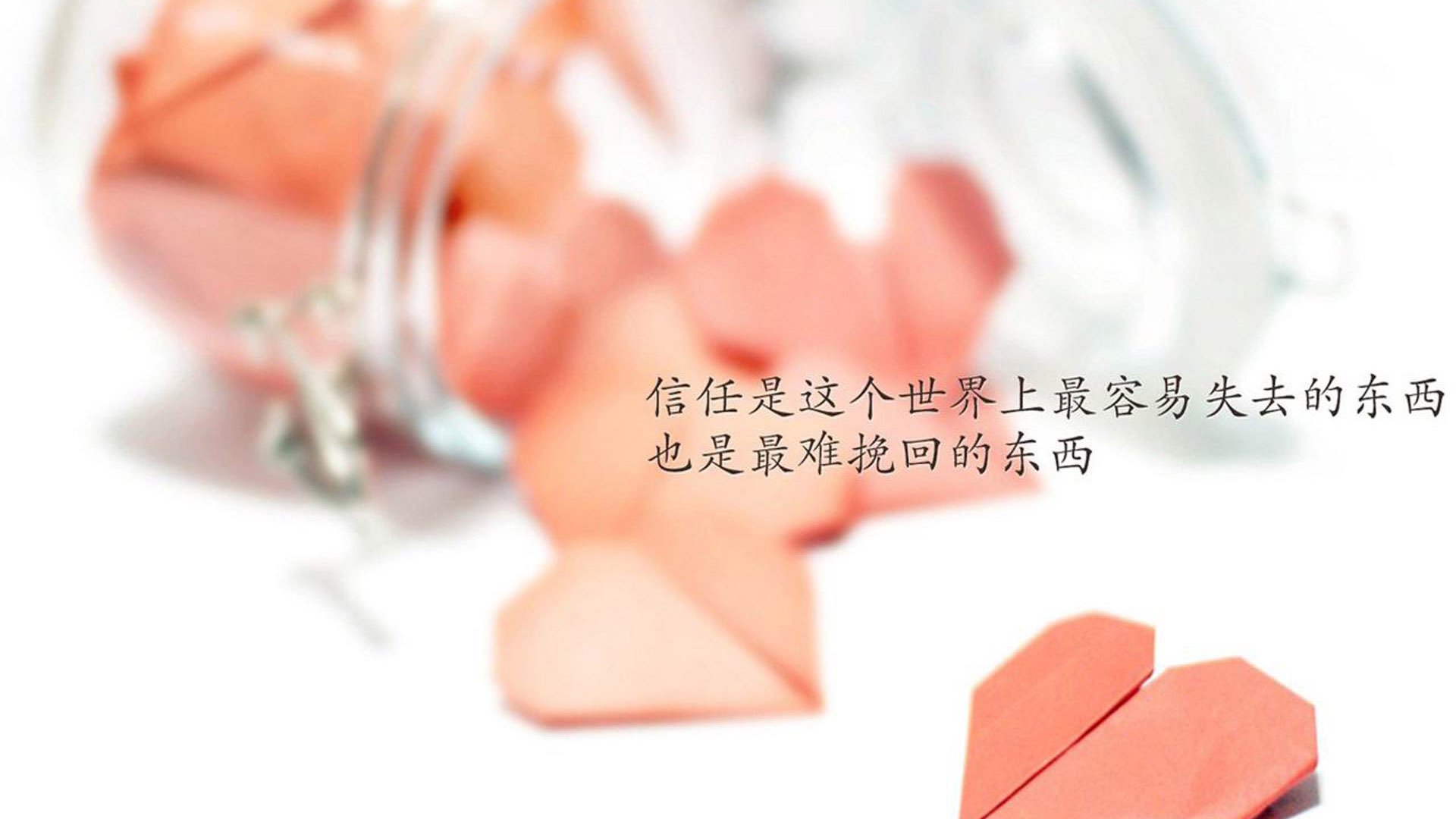 伊布罗佐维奇，2026之夏，那唯一一次刺穿逆光的魔笛