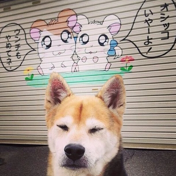 首先，是文章的标题
